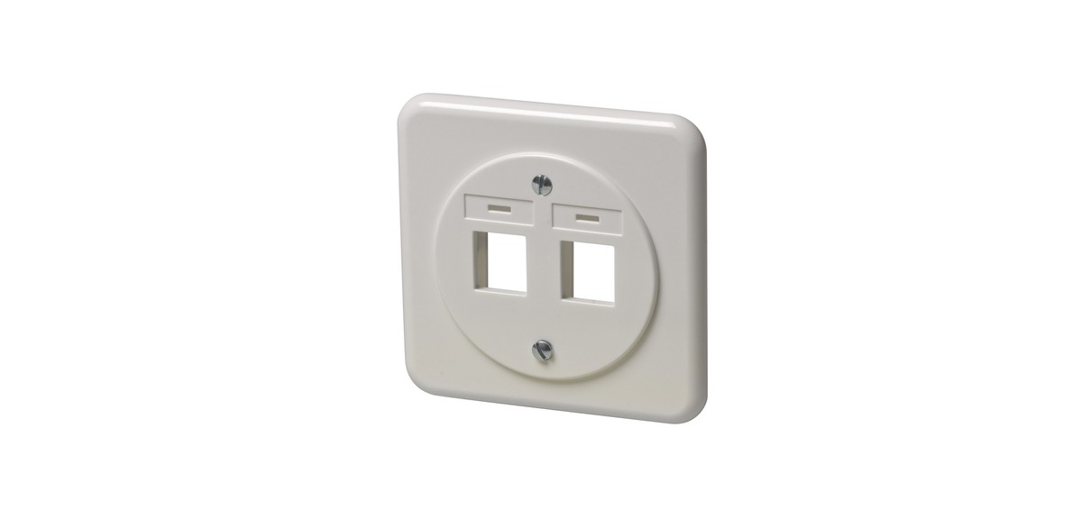 ITplus UP Standard 2xRJ45 ws leer UP Dose Standard weiss