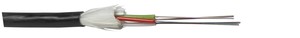 LWL Twintube 24xOM3 NS LSFH 9.4x8.8mm tk Dca